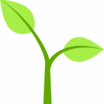 Jeune pousse de plante